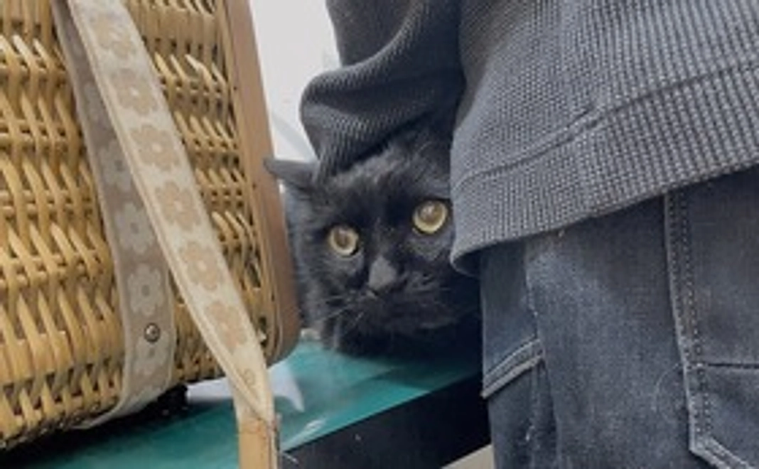 ゆめちゃんを応援！②