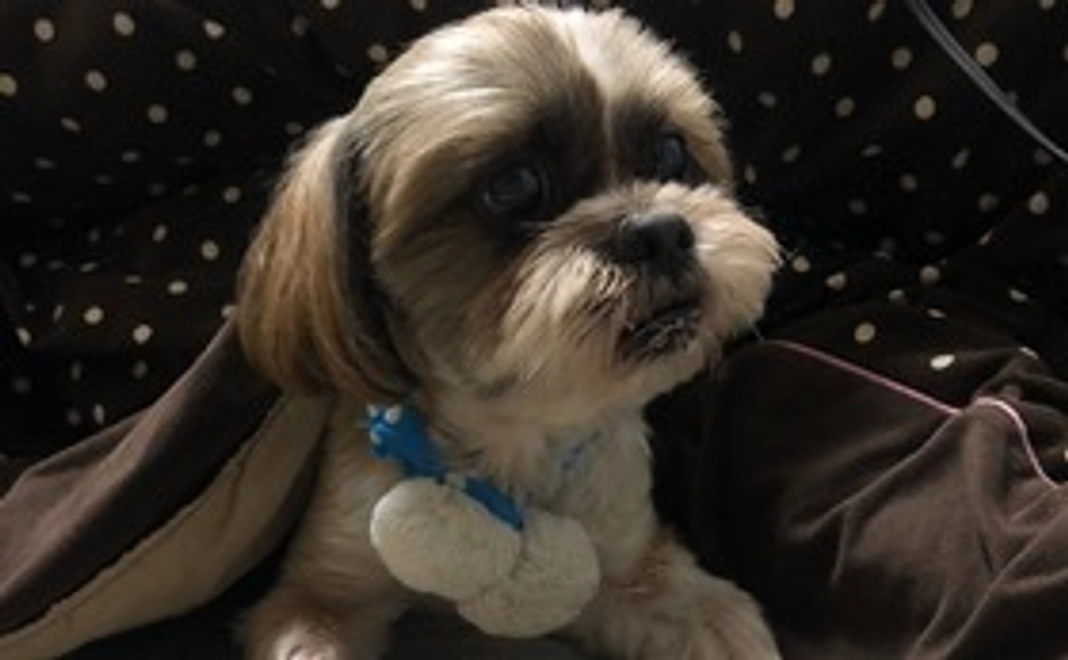 ミントくんへの支援①