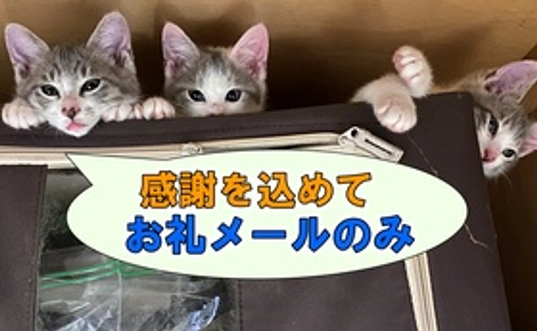 【お礼メールのみ】3,000円支援コース