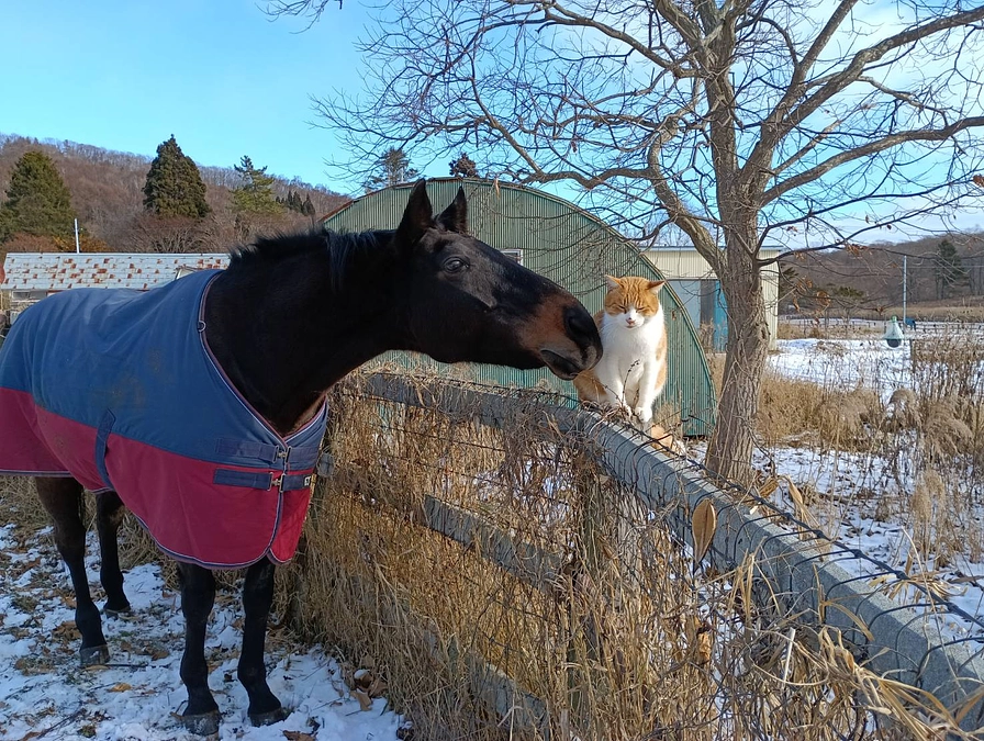 第一目標金額達成の御礼と引き続きいただくご支援について