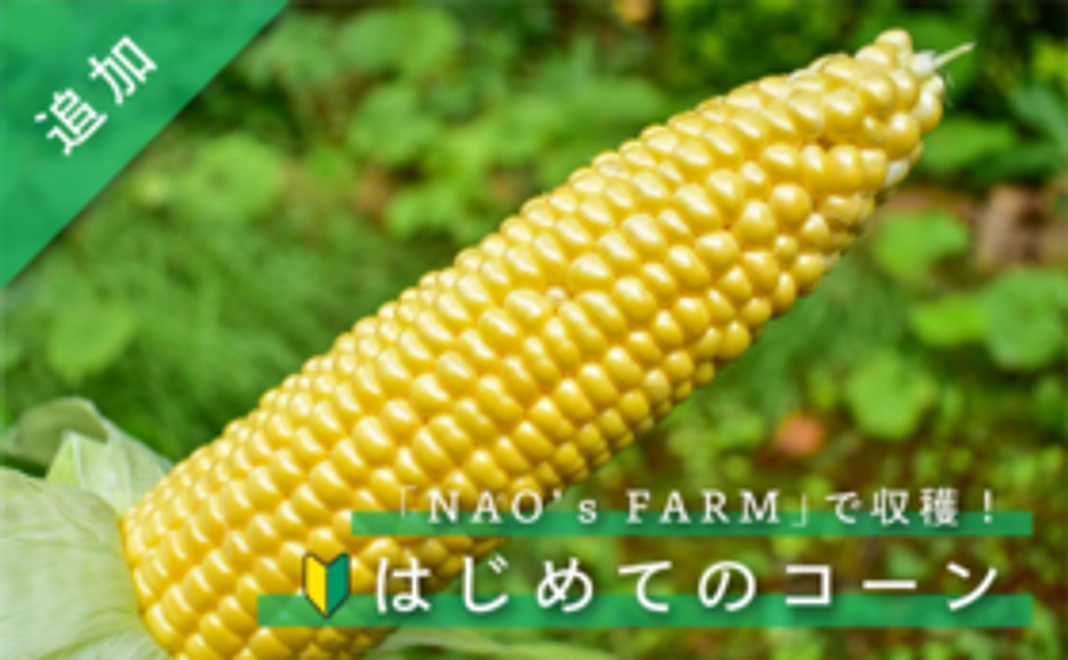 「NAO's FARM」はじめてのコーン 6本セット