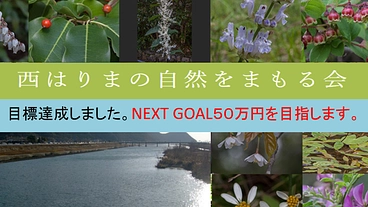 千種川流域を含む西播磨地域の豊かな自然を保全し、後世に伝えたい。
