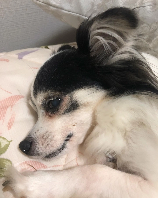 注射と点滴をしてもらってきました