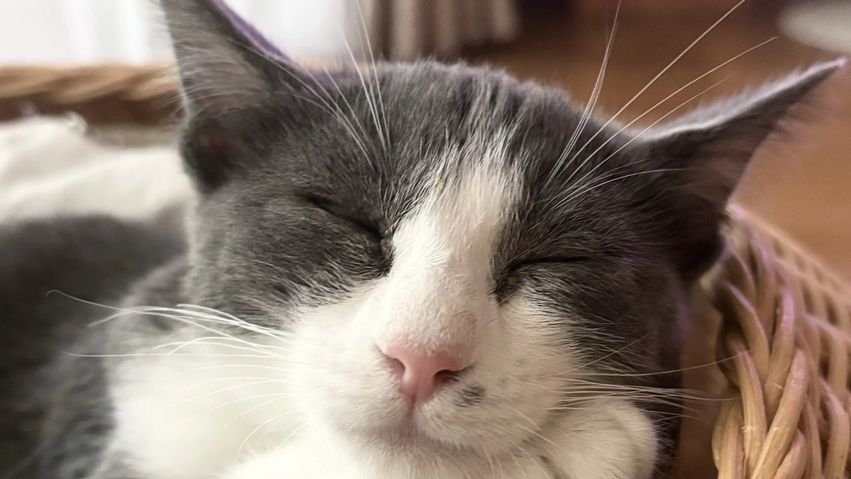 クラウドファンディング達成いたしました！