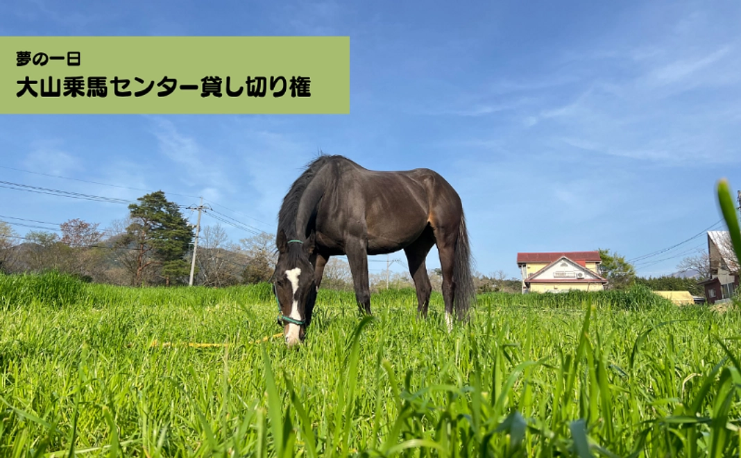 【夢の一日】大山乗馬センター貸し切り権