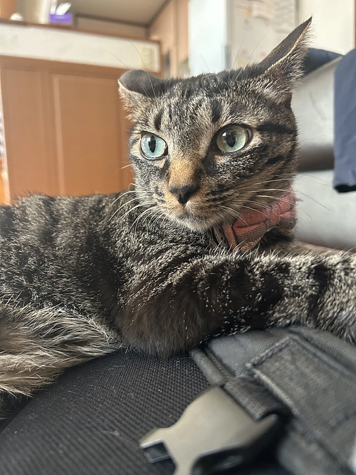 【達成！】最高の感謝と御礼。