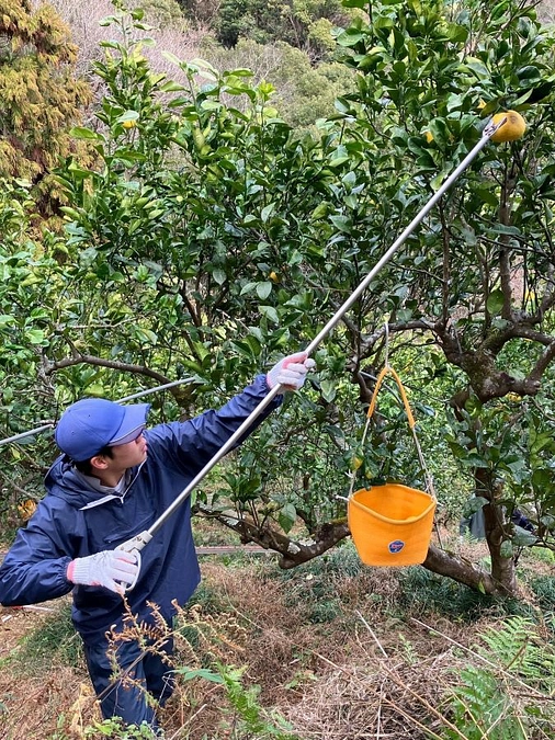残り４日になりました！毎日のご支援、本当に本当にありがとうございます！