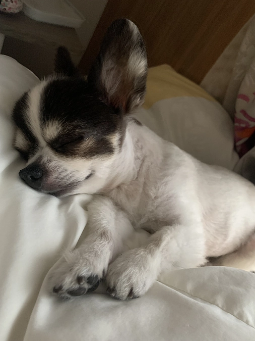 ステロイドを増やすことになりました💦