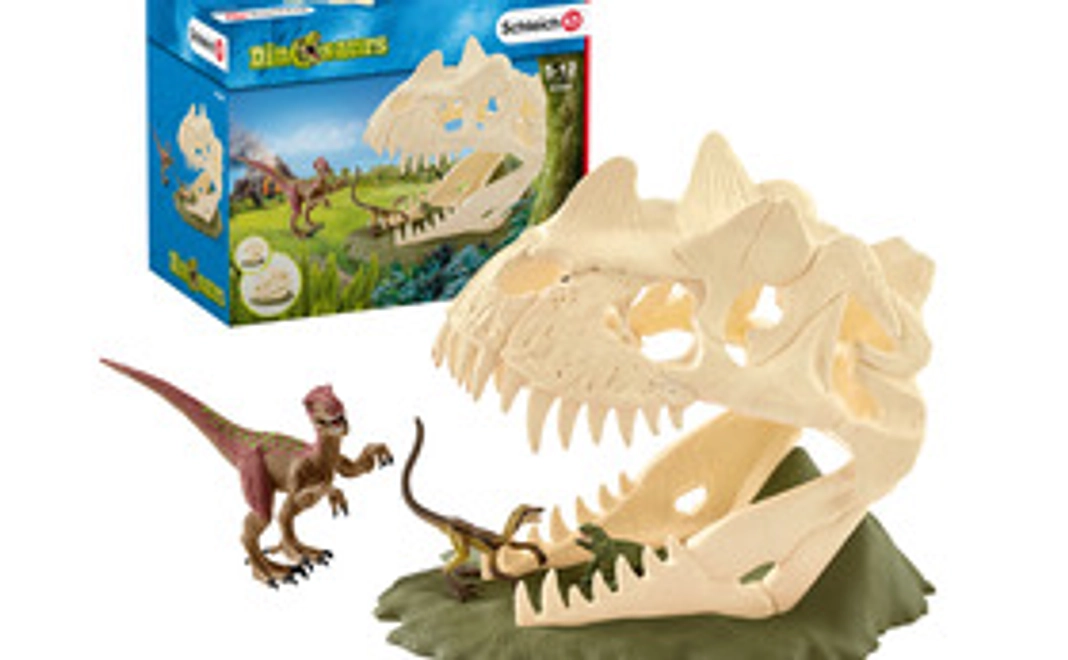 寄付額500円！『巨大恐竜の骸骨トラップ』