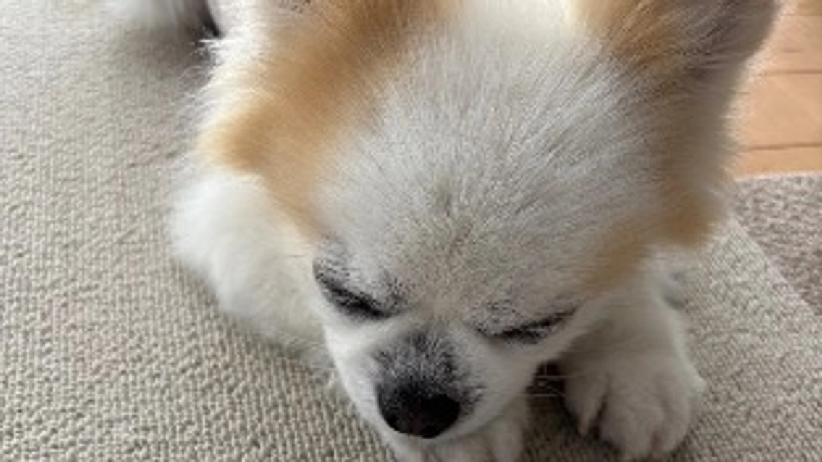 急激に体調が悪化しました