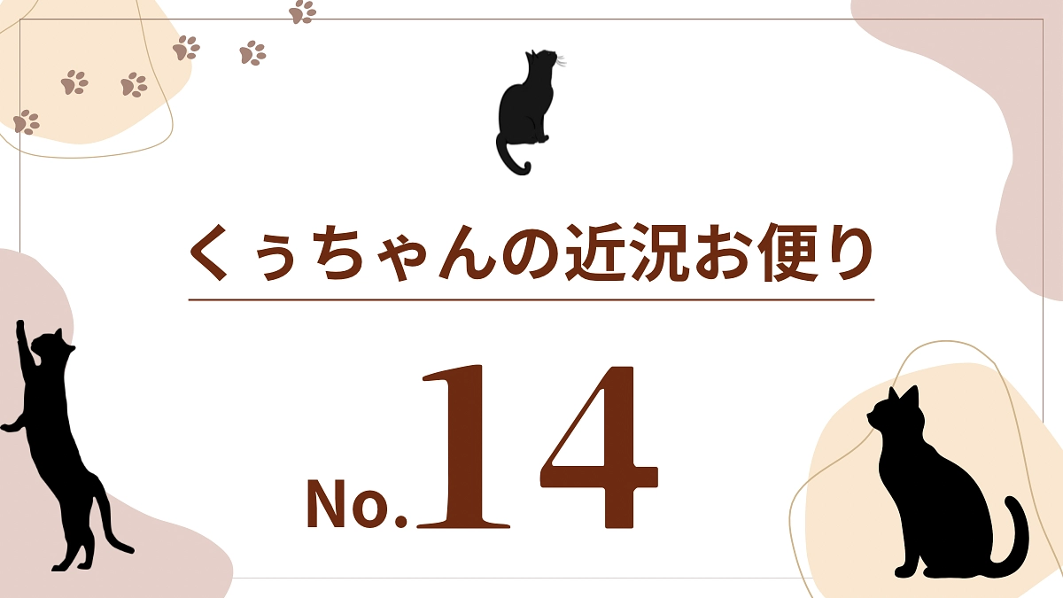 【くぅちゃんの近況おたより（8月21日）】