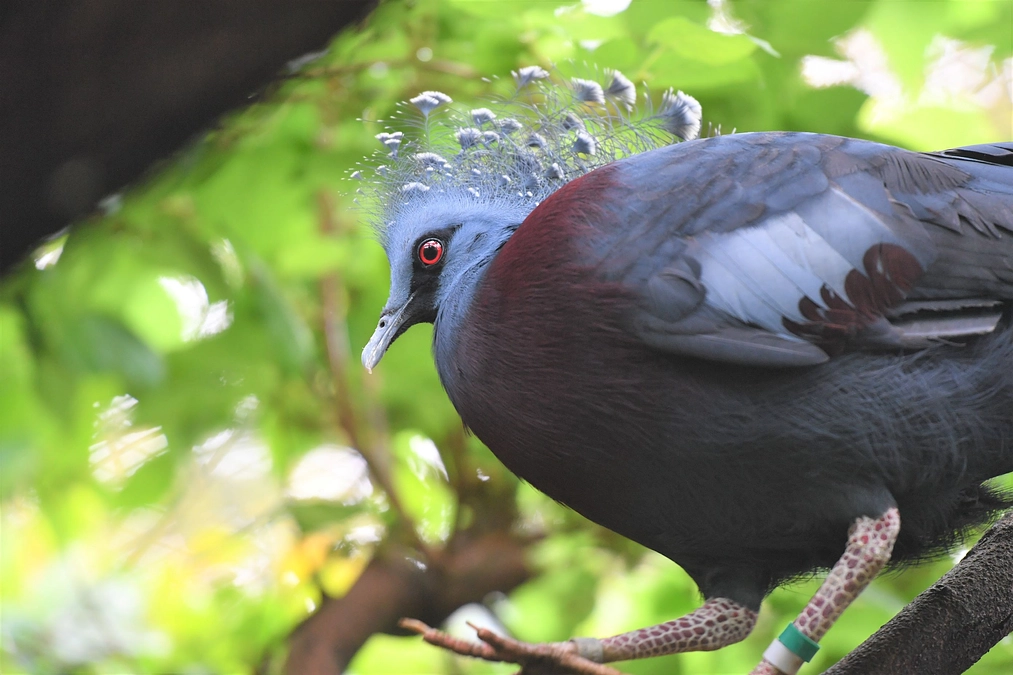 GW始まりました