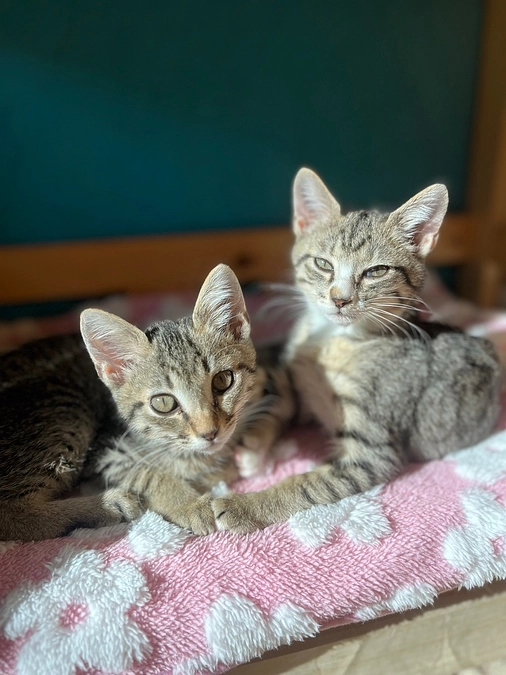 ラストスパート！でも活動報告をおやすみしたい日