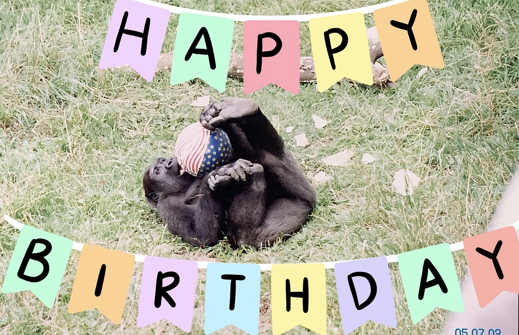 Happy Birthday🎉　モモタロウ！！