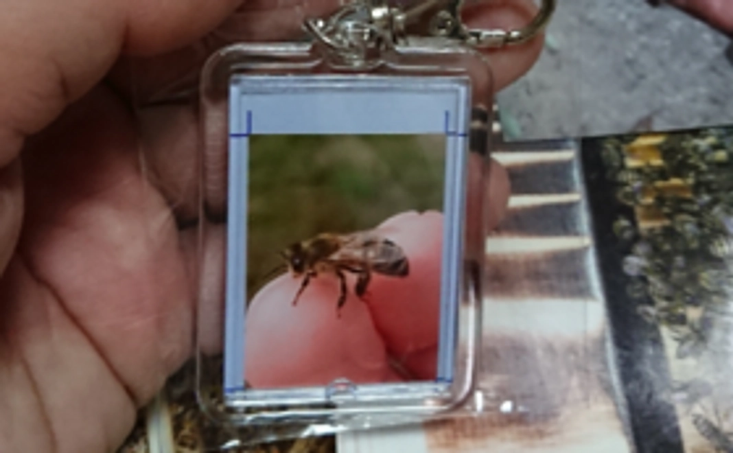 蜂の写真入りキーホルダー(大)