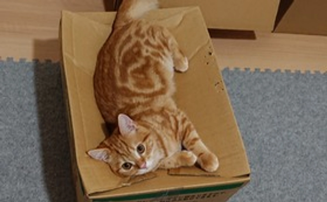 3000円支援コース