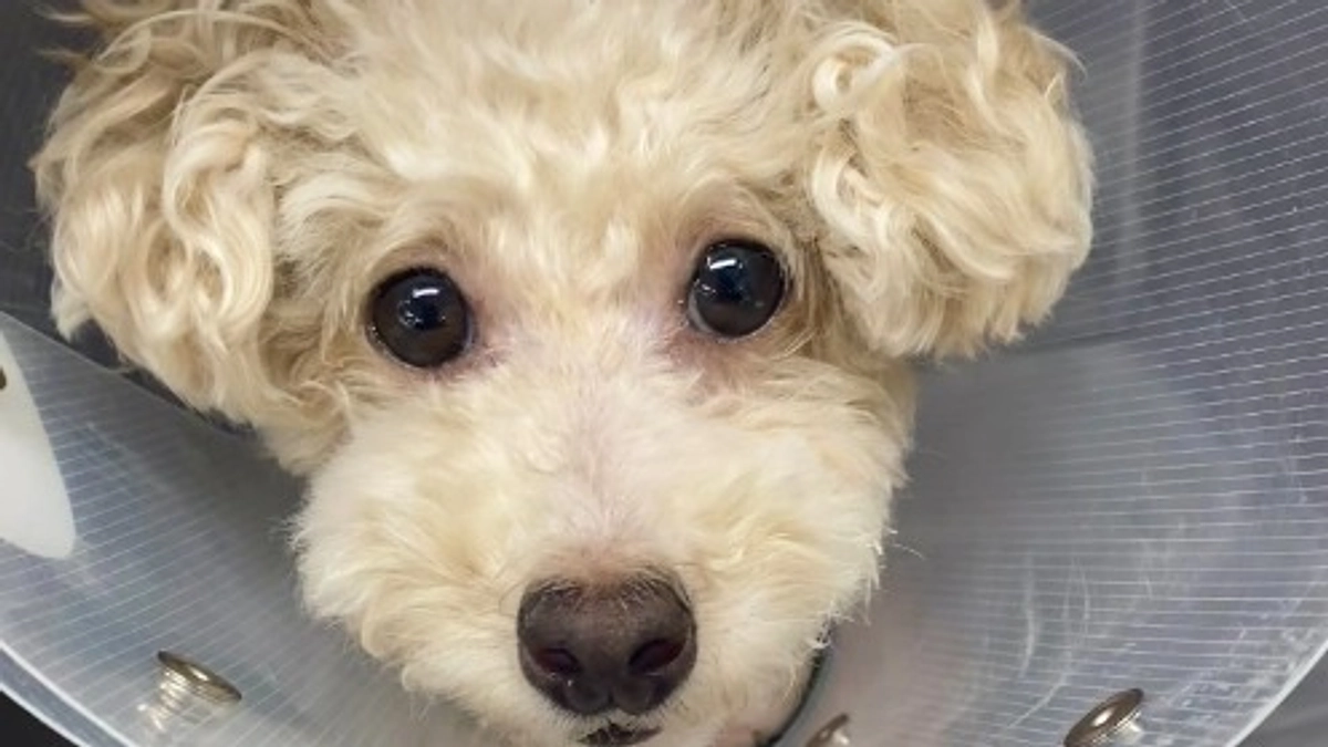 術後5日目。週明けの面会に行ってきました！