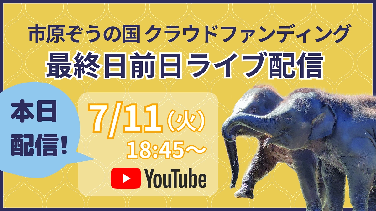 本日18時45分から！【最終日前日ライブ配信】にぜひご参加ください！
