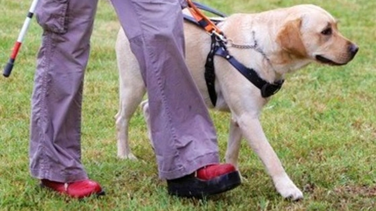 身体の不自由な方のパートナー「補助犬」が活躍できる社会へ！