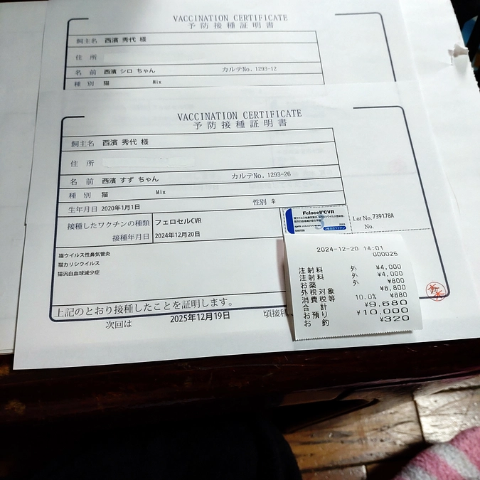 ワクチン接種💉