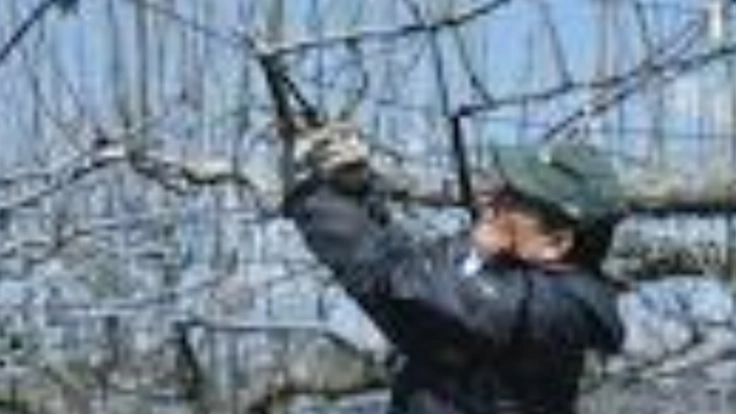 船橋市で税金を使って捨てている梨の枝を再利用して化粧品を作る