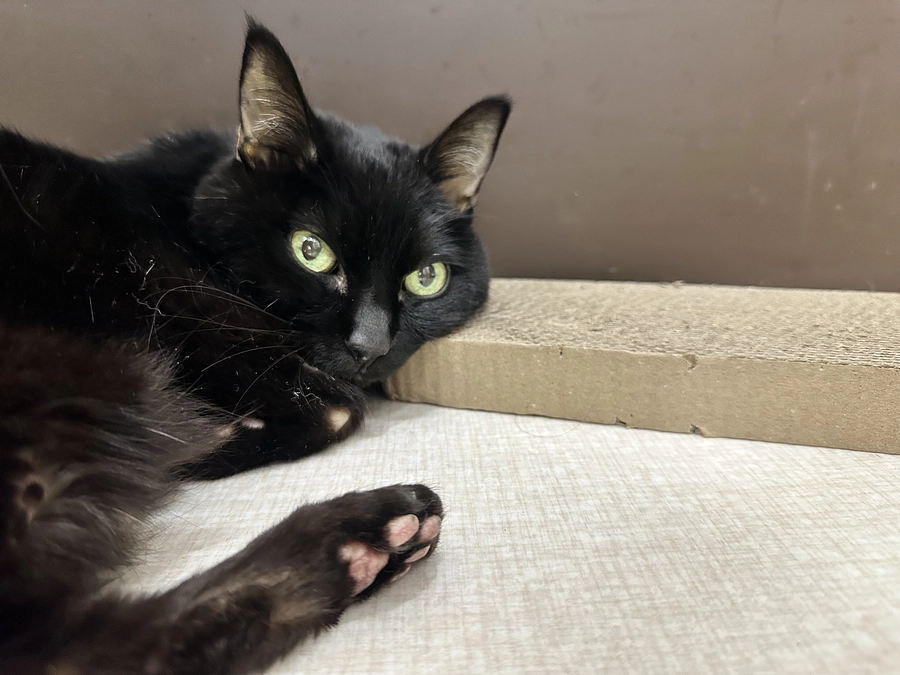 なかなか難しい状態です。