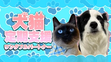 【継続支援のお願い】保護犬・保護猫支援の施設／ワンダフルパートナー のトップ画像