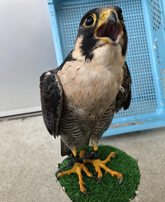 千里の道も一歩から