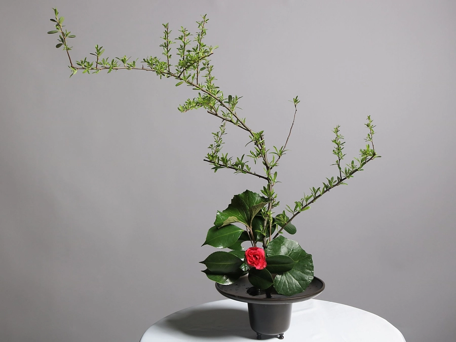 エントリナンバー04