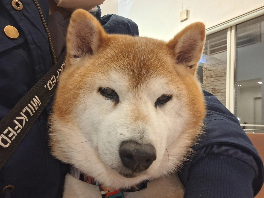 Xで応援してくださった方