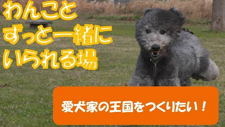 「愛犬家の王国をつくりたい！！」