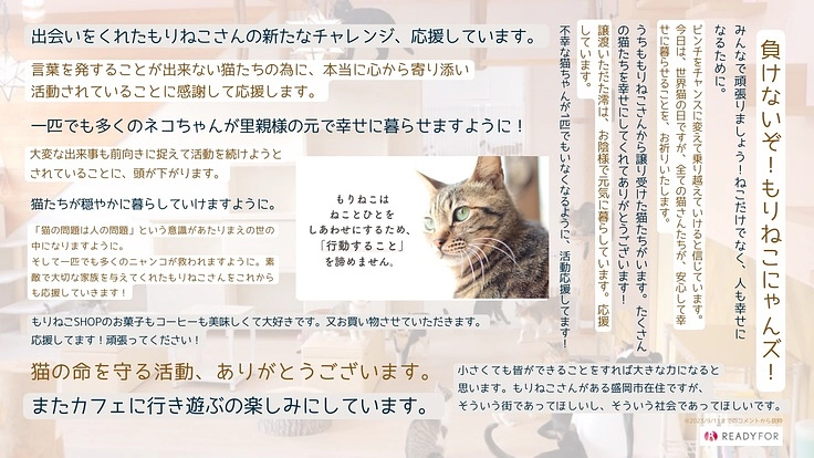 もりねこRe:スタート! 保護ねこ活動の継続と新たなチャレンジへ 8枚目