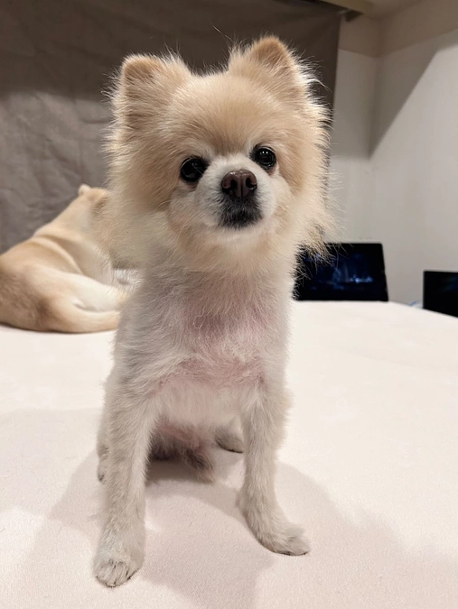 58/59 ☆ 初めての…