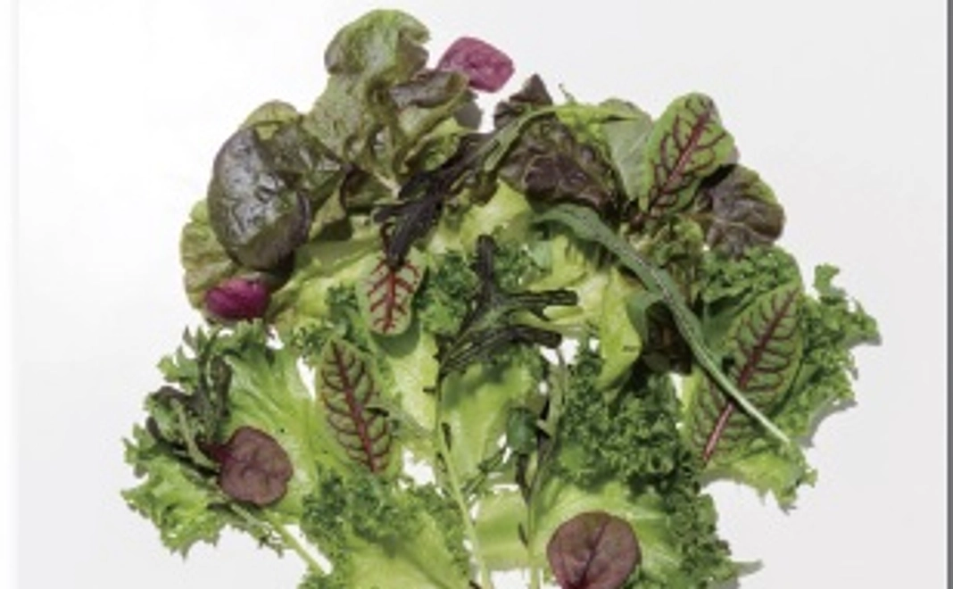 【通常型】感謝の印、初回生産した新鮮野菜パックをお届けします。