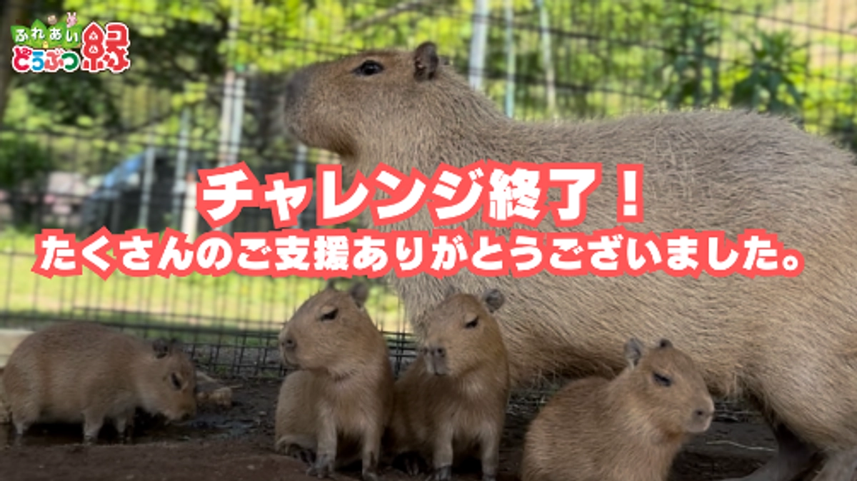 第二目標達成！！チャレンジ終了！皆様に心より御礼申し上げます。