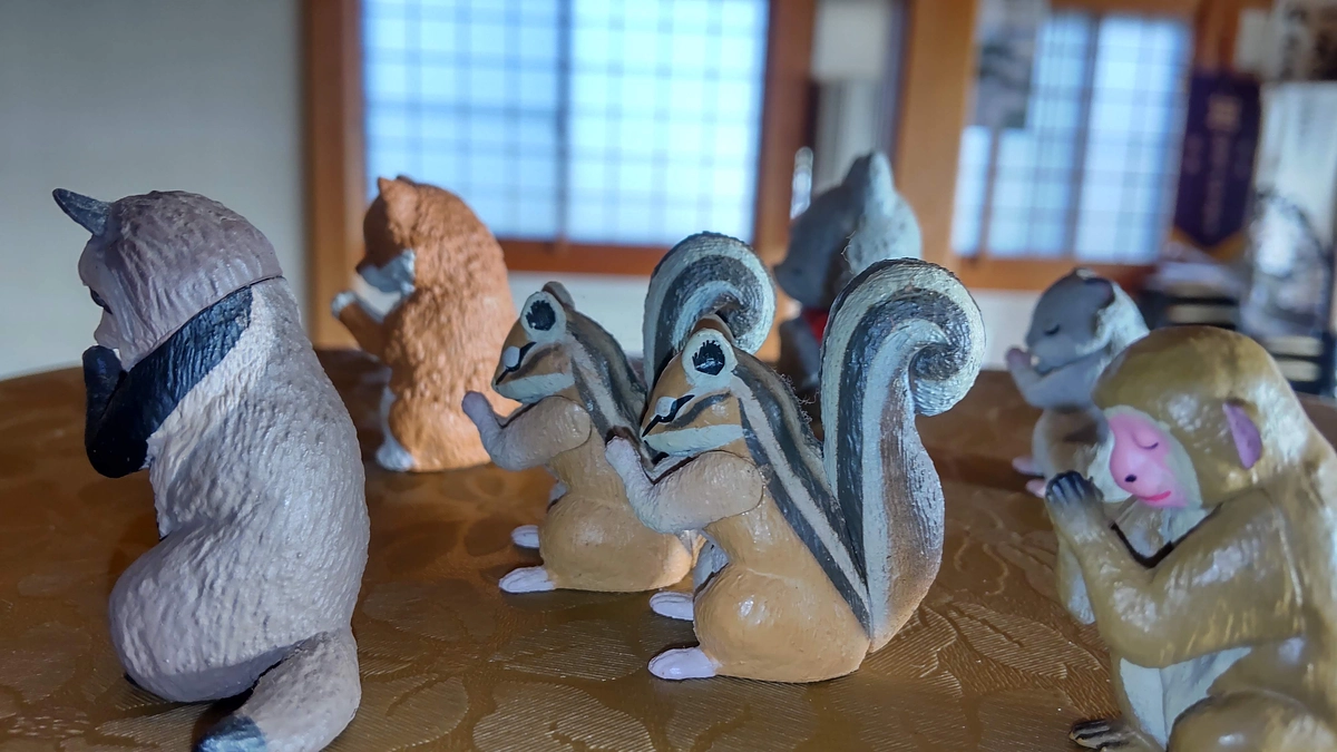 とうとうキターー！！