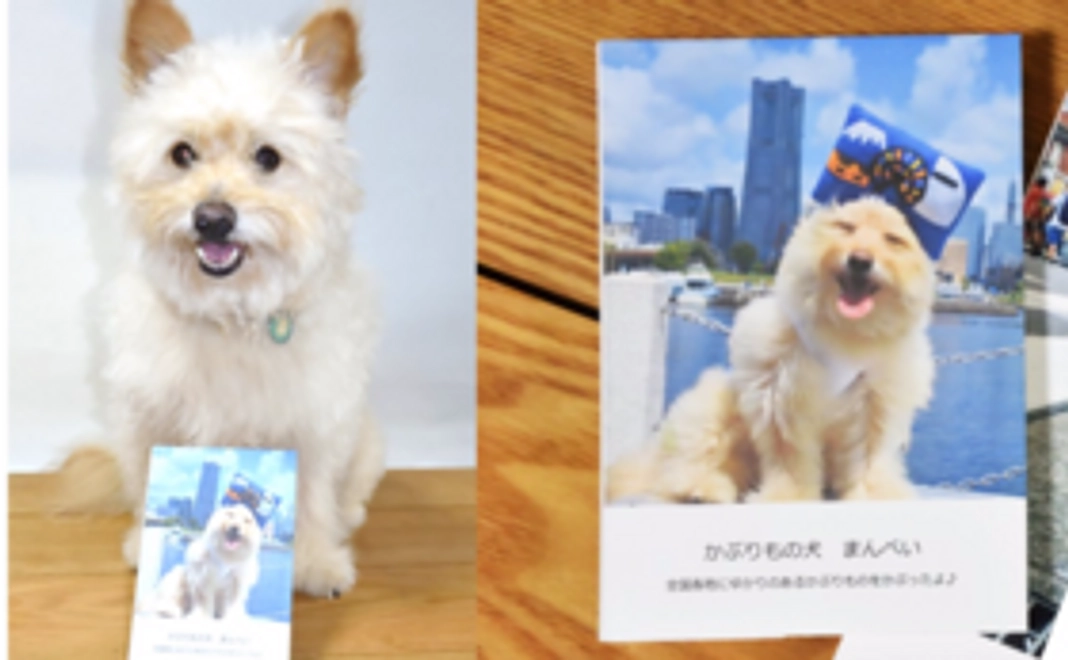 【かぶりものまんぺいの全国行脚を応援】まんぺいのミニ写真集