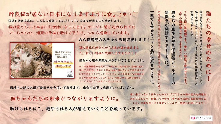猫の里北九州｜のら猫病院を併設した保護猫シェルター開設にご支援を 3枚目