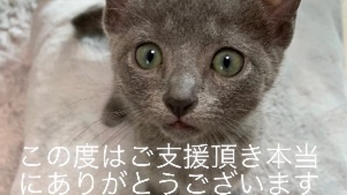 リターンに関しまして