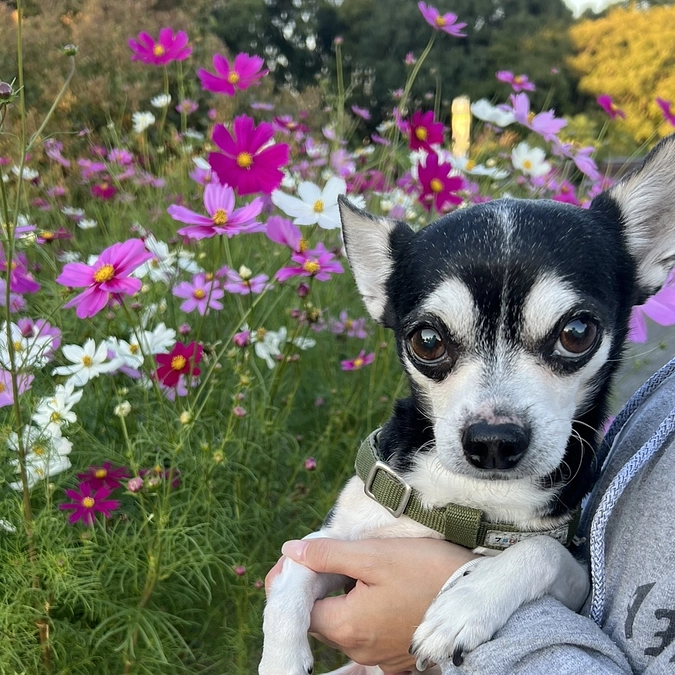 手術まであと３日‼︎