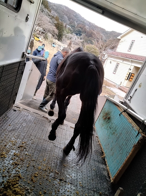 【あと４日！】紡っ子たち輸送の日②