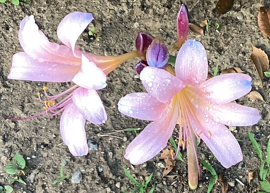 目標に賛同いただきましたら幸いです。