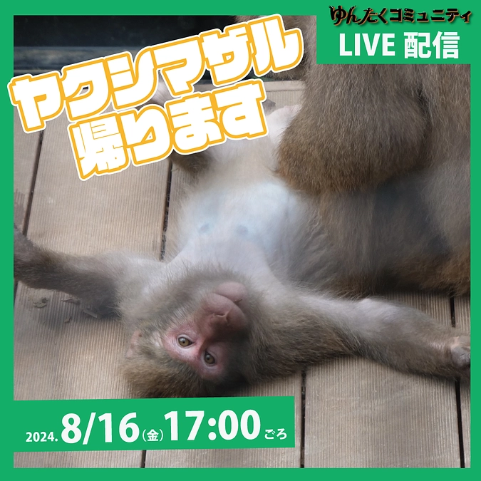 ゆんたくコミュニティ限定ライブ配信「ヤクシマザル帰ります」