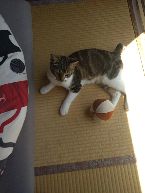 【残り10日間となりました】