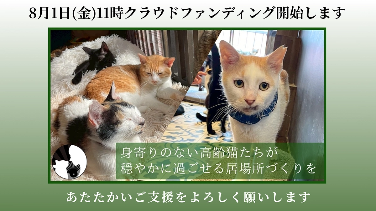 【緊急告知】明日の8月1日の11時より新施設開設にむけて新プロジェクトがスタートします！