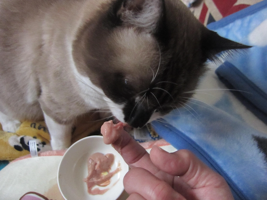 【残り１時間】皆様に格別のご高配を賜り感謝です