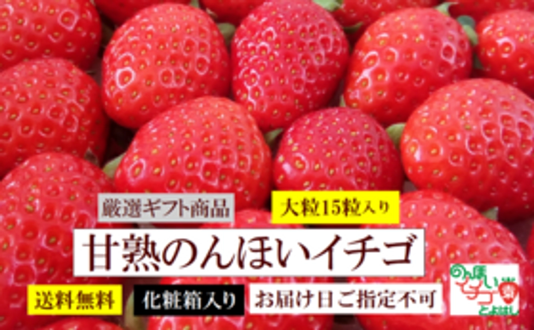 【食べて応援】甘熟のんほいイチゴ2箱