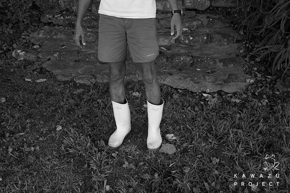 折り返し地点の中間報告