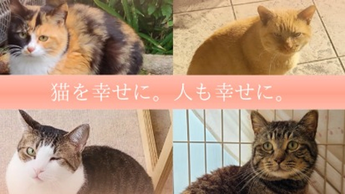 未来に向けて、本日より新たなクラウドファンディングにチャレンジします。