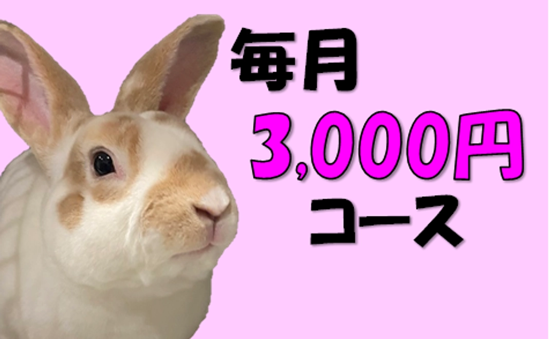 3,000円コース